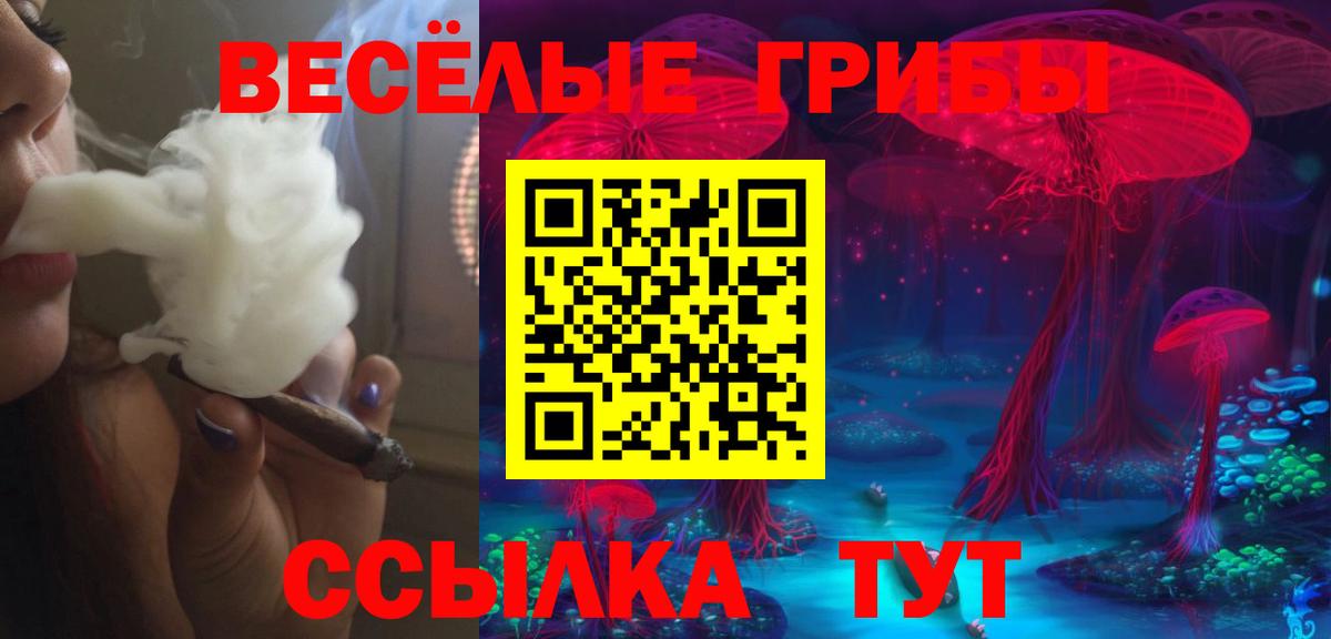 хочу наркоту  Вход с VPN  Абинск  Псилоцибиновые грибы MAGIC MUSHROOMS  Галлюциногенные грибы Psilocybe 